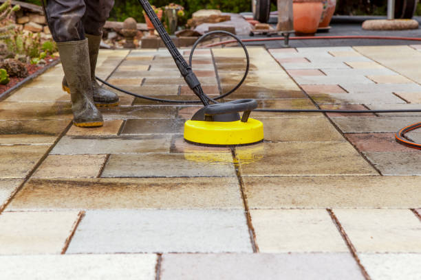 Best Animal Enclosure Cleaning  in Chieand, FL